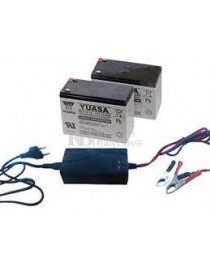 CARGADOR LITIO 29V 15AH